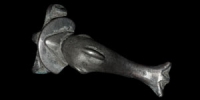 Roman - Silver Dolphin Brooch
