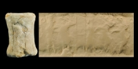 Akkadian Cylinder Seal