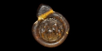 Glass Opposed-Beasts Seal