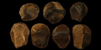 British Neolithic - Seven Convex Flint Scrapers
