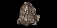 Sikhote-Alin Meteorite - 1947
