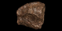 Chondrite (NWA 869) Meteorite