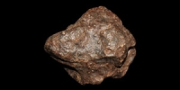 Chondrite (NWA 869) Meteorite