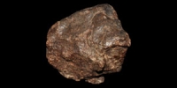Chondrite (NWA 869) Meteorite