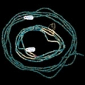 North America - Small Seed Trade Beads