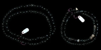 North America - Black Trade Beads