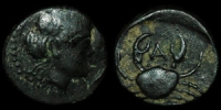 Greece - Italy - The Bruttii - Persephone and Crab - AE11