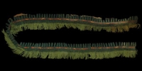 South America - Nasca/Nazca Culture - Woven Mantle Hem