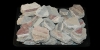 Roman - Forty pieces of Decorated Wall Plaster