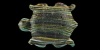 Glass Turtle Amulet