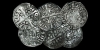 Group of Long Cross Pennies [6]