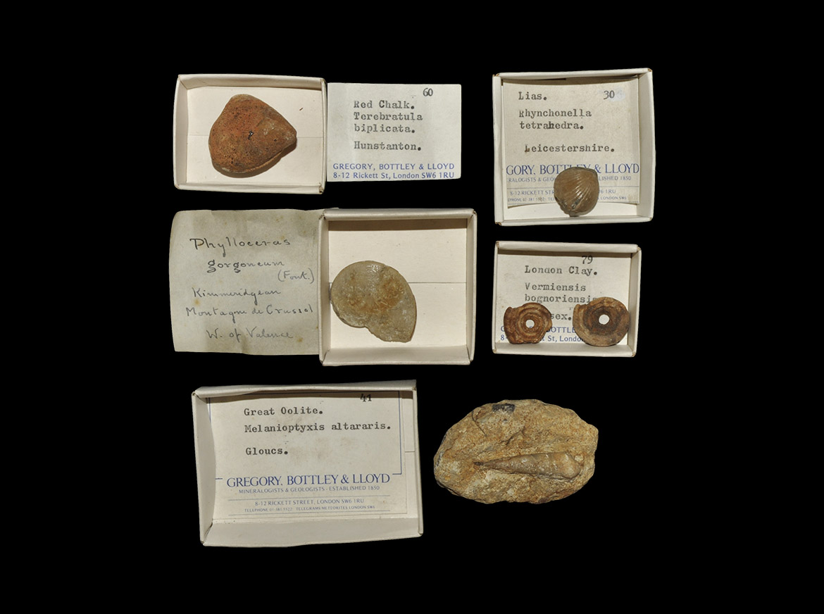 Quelle: Timeline Auctions Bild