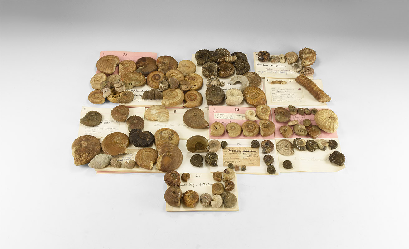 Quelle: Timeline Auctions Bild