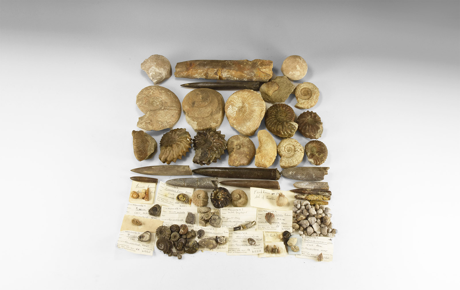 Quelle: Timeline Auctions Bild