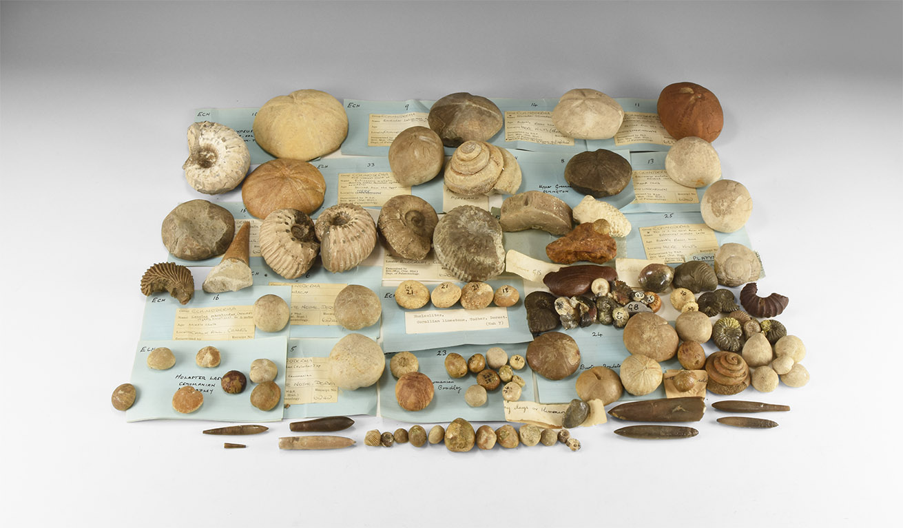 Quelle: Timeline Auctions Bild