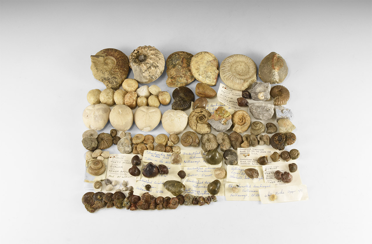 Quelle: Timeline Auctions Bild