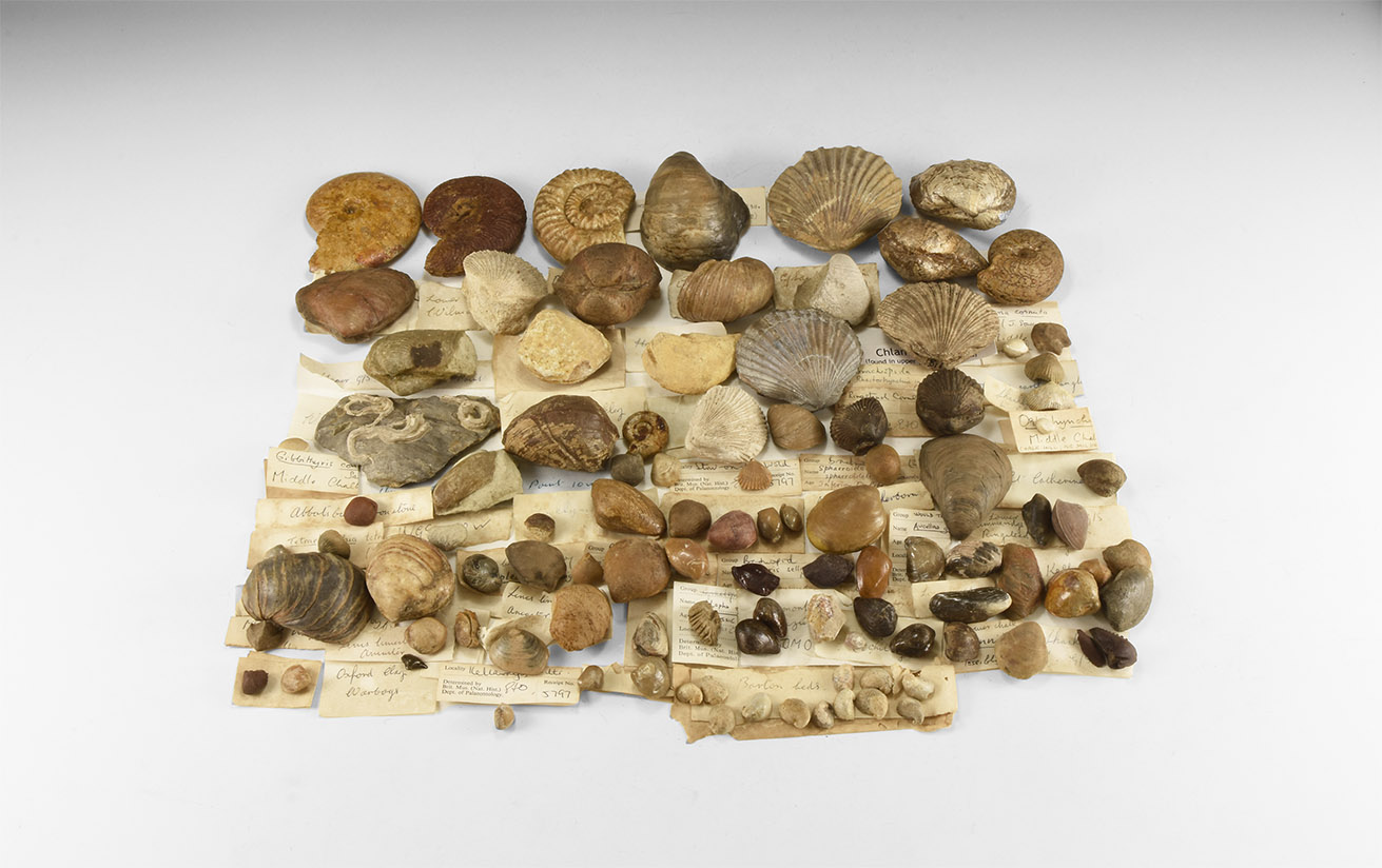 Quelle: Timeline Auctions Bild