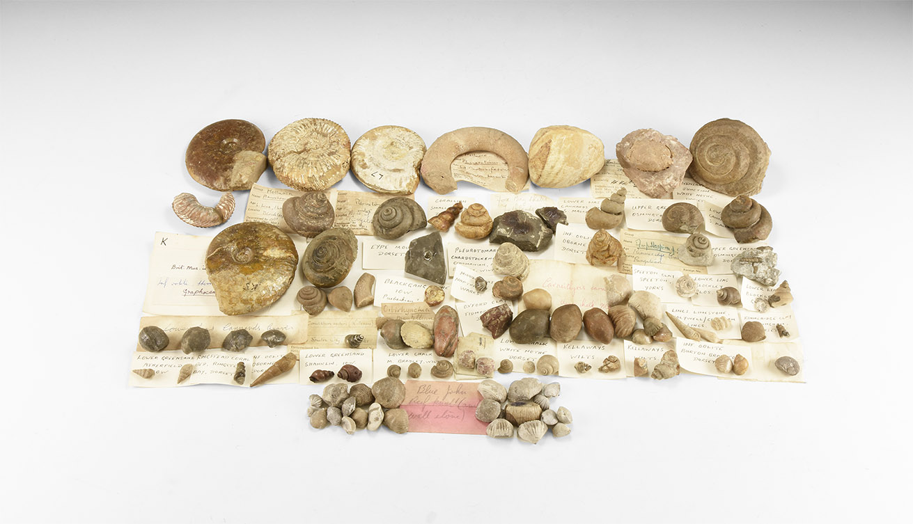 Quelle: Timeline Auctions Bild
