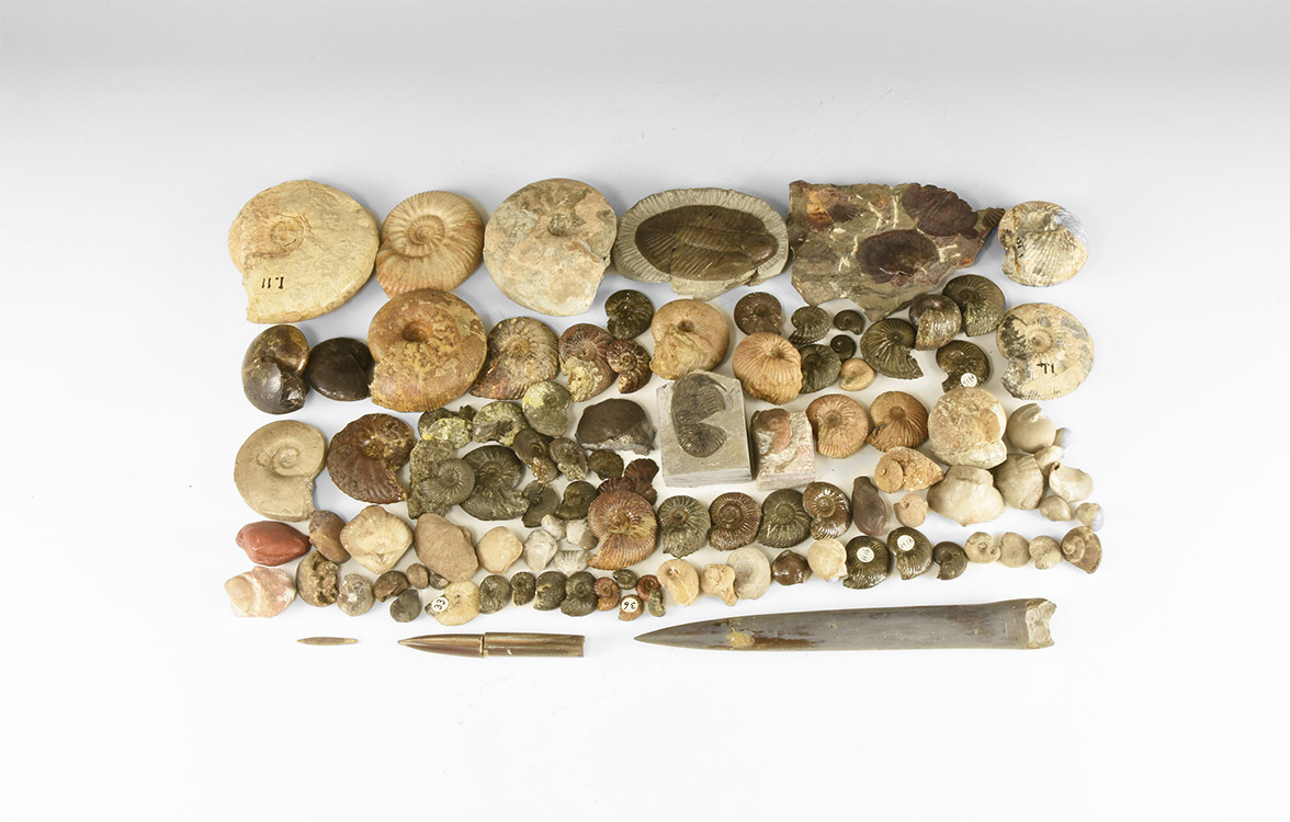 Quelle: Timeline Auctions Bild