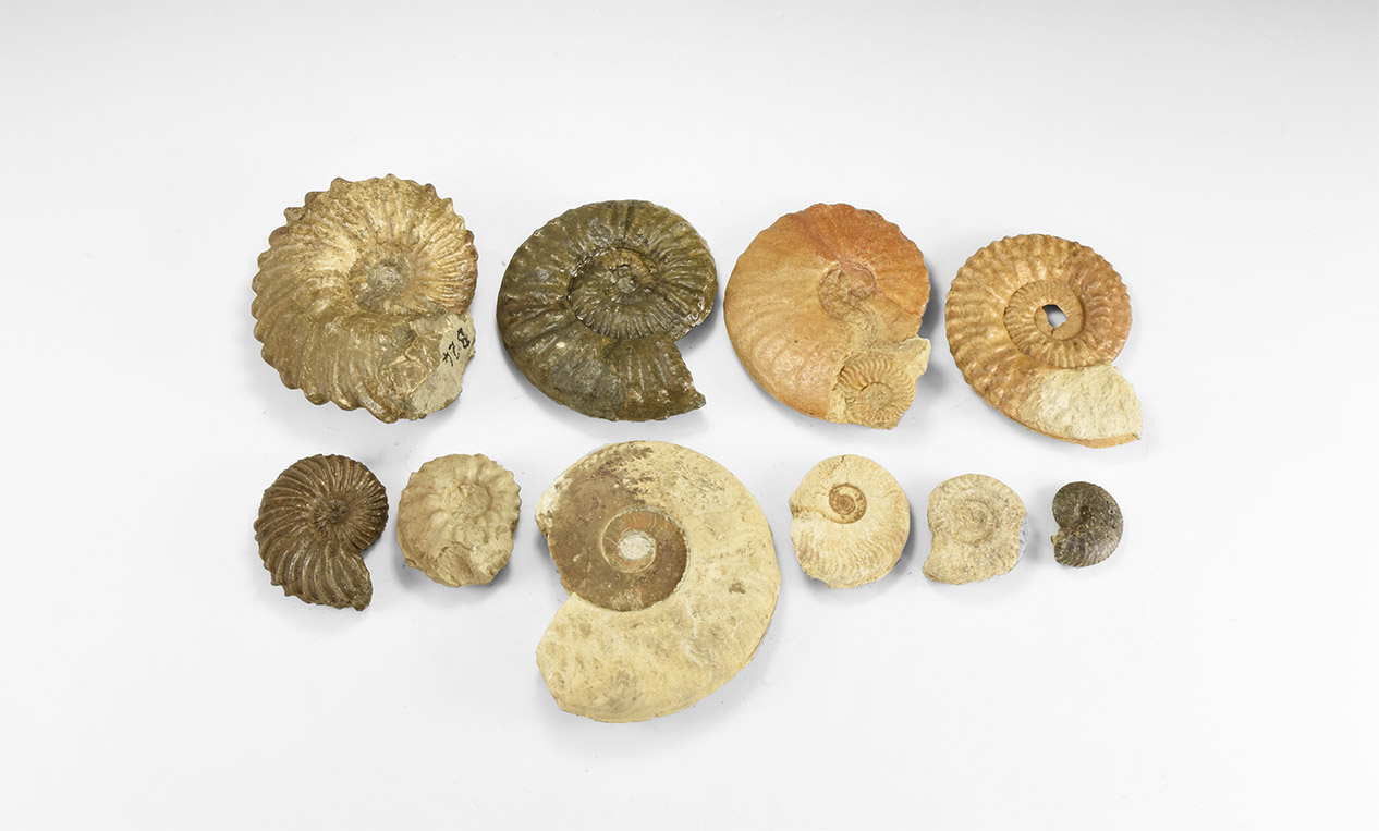 Quelle: Timeline Auctions Bild