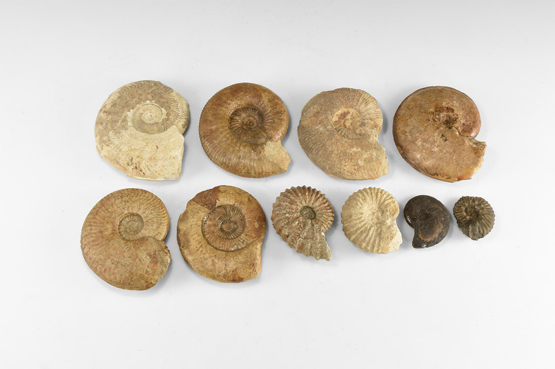 Quelle: Timeline Auctions Bild