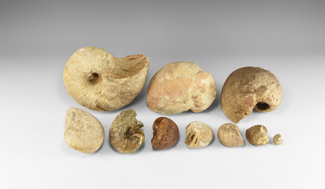 Quelle: Timeline Auctions Bild