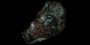Celtic Iron Age - Helmet Mount - Boar