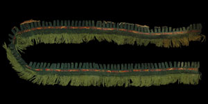 South America - Nasca/Nazca Culture - Woven Mantle Hem